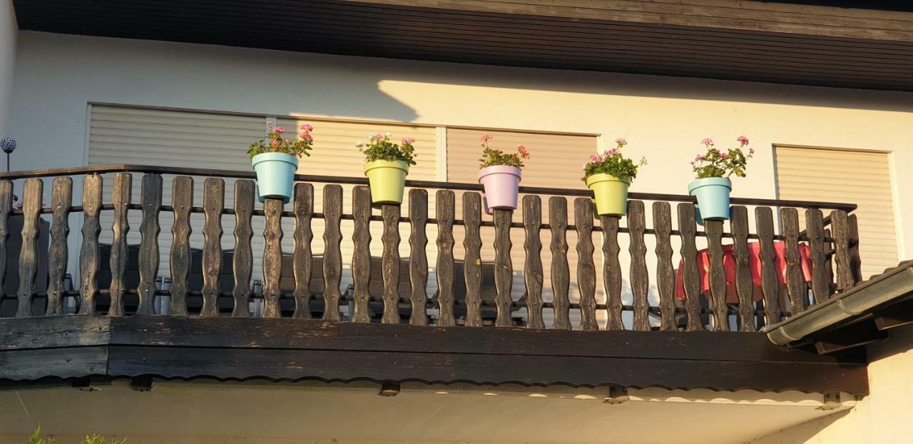 Ferienwohnung Weingut Leis Oestrich-Winkel Dış mekan fotoğraf