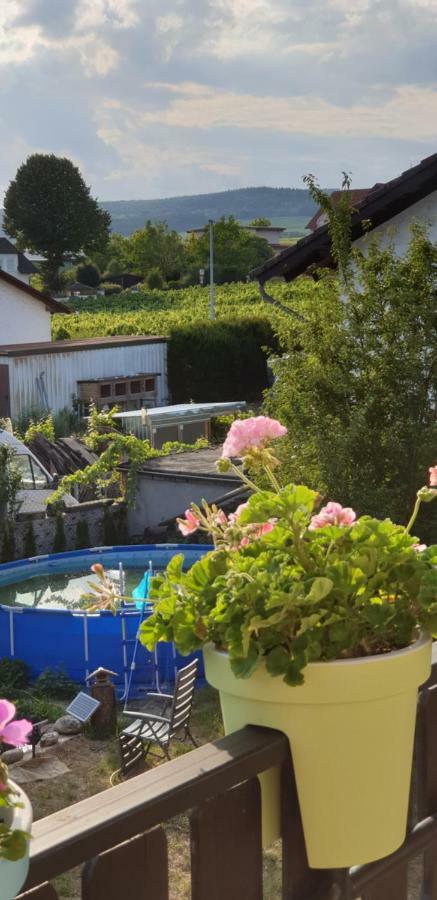 Ferienwohnung Weingut Leis Oestrich-Winkel Dış mekan fotoğraf